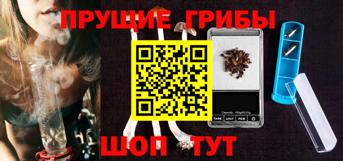 Псилоцибиновые грибы Cubensis  Галлюциногенные грибы мухоморы  как найти наркотики  Вход с VPN  Тайшет 